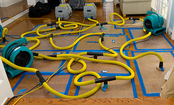 Professional Storm Water Damage Restoration technician working in Ubly, MI