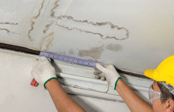 Affordable Water Damage Repair solutions in Ubly, MI